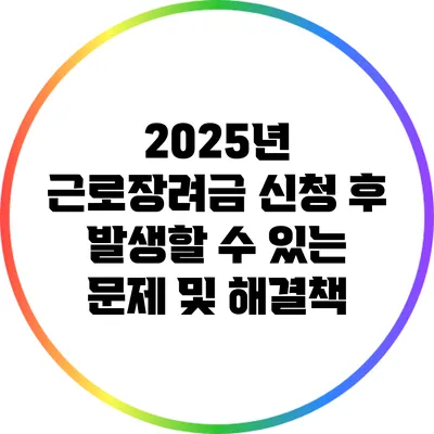 2025년 근로장려금 신청 후 발생할 수 있는 문제 및 해결책
