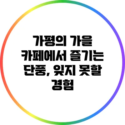 가평의 가을 카페에서 즐기는 단풍, 잊지 못할 경험