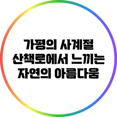 가평의 사계절 산책로에서 느끼는 자연의 아름다움