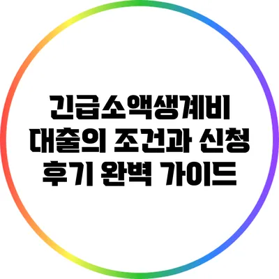 긴급소액생계비 대출의 조건과 신청 후기 완벽 가이드