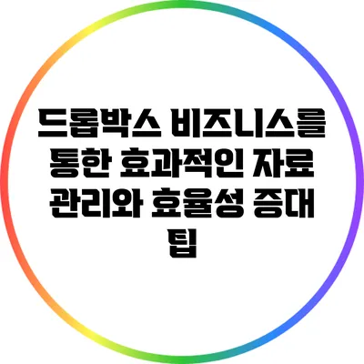 드롭박스 비즈니스를 통한 효과적인 자료 관리와 효율성 증대 팁
