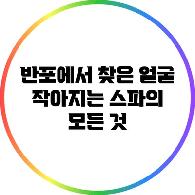 반포에서 찾은 얼굴 작아지는 스파의 모든 것