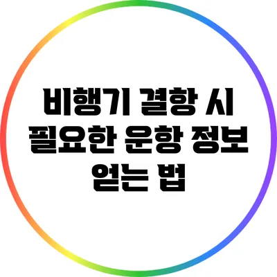비행기 결항 시 필요한 운항 정보 얻는 법