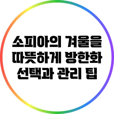 소피아의 겨울을 따뜻하게: 방한화 선택과 관리 팁