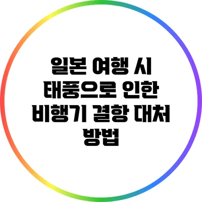일본 여행 시 태풍으로 인한 비행기 결항 대처 방법