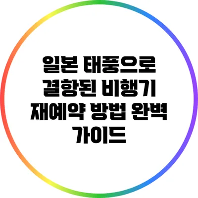 일본 태풍으로 결항된 비행기 재예약 방법 완벽 가이드