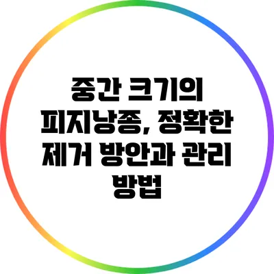 중간 크기의 피지낭종, 정확한 제거 방안과 관리 방법