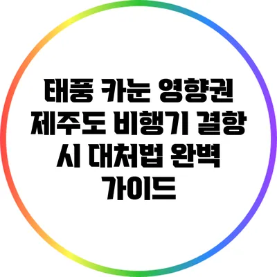 태풍 카눈 영향권: 제주도 비행기 결항 시 대처법 완벽 가이드