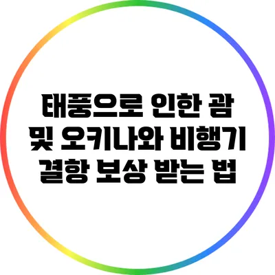 태풍으로 인한 괌 및 오키나와 비행기 결항 보상 받는 법