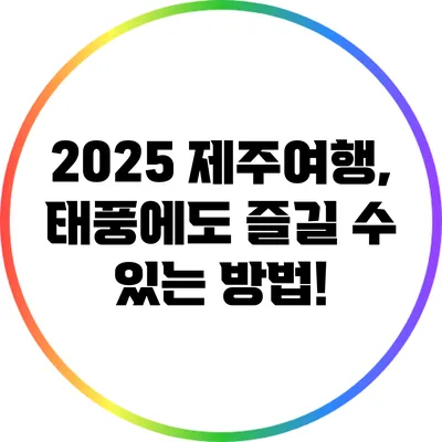 2025 제주여행, 태풍에도 즐길 수 있는 방법!
