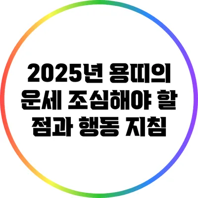 2025년 용띠의 운세: 조심해야 할 점과 행동 지침