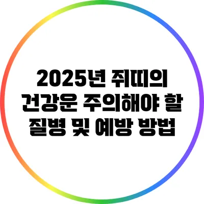 2025년 쥐띠의 건강운: 주의해야 할 질병 및 예방 방법