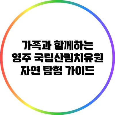 가족과 함께하는 영주 국립산림치유원 자연 탐험 가이드