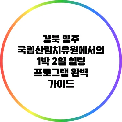 경북 영주 국립산림치유원에서의 1박 2일 힐링 프로그램 완벽 가이드