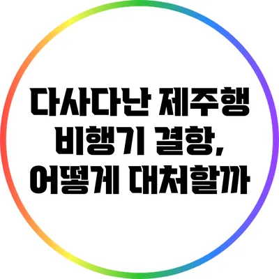 다사다난 제주행 비행기 결항, 어떻게 대처할까?