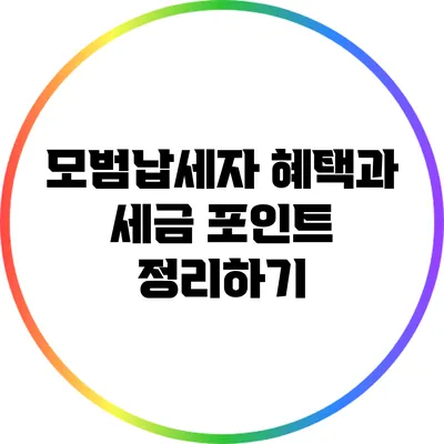 모범납세자 혜택과 세금 포인트 정리하기