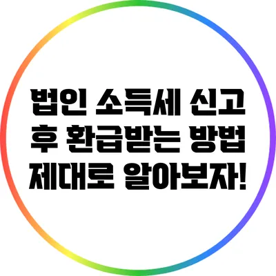 법인 소득세 신고 후 환급받는 방법: 제대로 알아보자!
