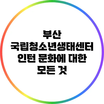 부산 국립청소년생태센터 인턴 문화에 대한 모든 것
