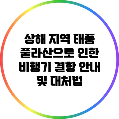 상해 지역 태풍 풀라산으로 인한 비행기 결항 안내 및 대처법