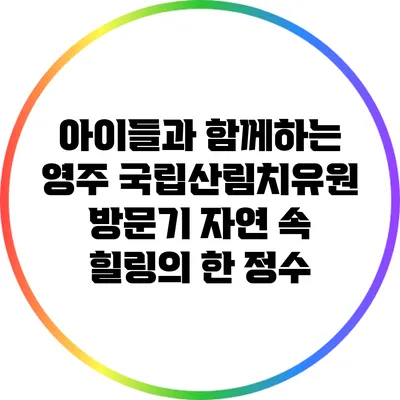 아이들과 함께하는 영주 국립산림치유원 방문기: 자연 속 힐링의 한 정수