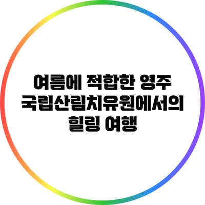 여름에 적합한 영주 국립산림치유원에서의 힐링 여행