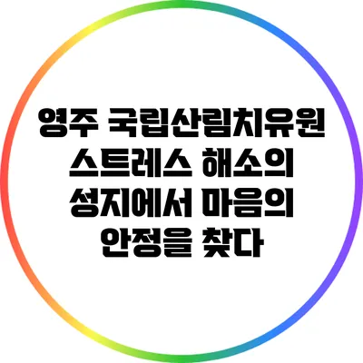 영주 국립산림치유원: 스트레스 해소의 성지에서 마음의 안정을 찾다