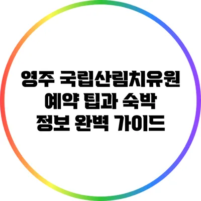 영주 국립산림치유원 예약 팁과 숙박 정보 완벽 가이드