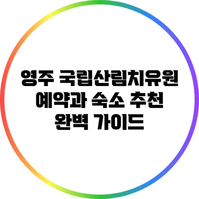 영주 국립산림치유원 예약과 숙소 추천 완벽 가이드