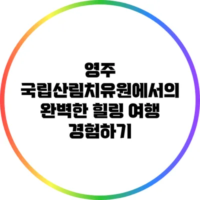 영주 국립산림치유원에서의 완벽한 힐링 여행 경험하기