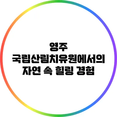 영주 국립산림치유원에서의 자연 속 힐링 경험