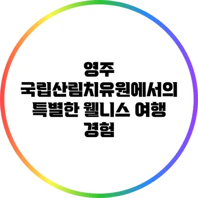 영주 국립산림치유원에서의 특별한 웰니스 여행 경험
