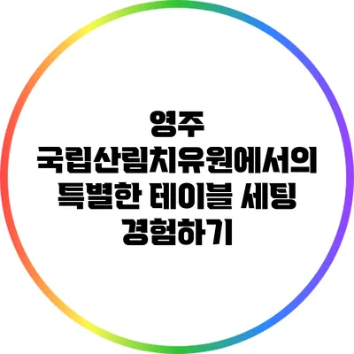 영주 국립산림치유원에서의 특별한 테이블 세팅 경험하기