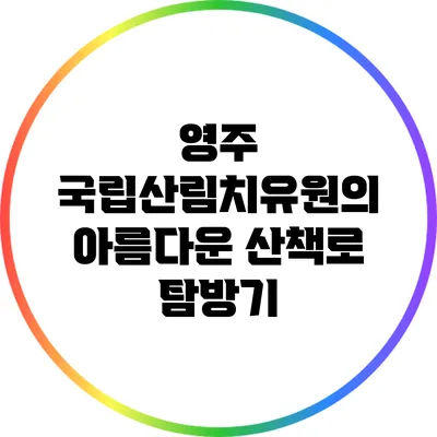 영주 국립산림치유원의 아름다운 산책로 탐방기