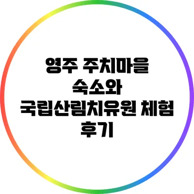 영주 주치마을 숙소와 국립산림치유원 체험 후기