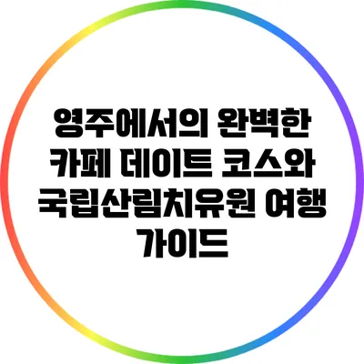 영주에서의 완벽한 카페 데이트 코스와 국립산림치유원 여행 가이드