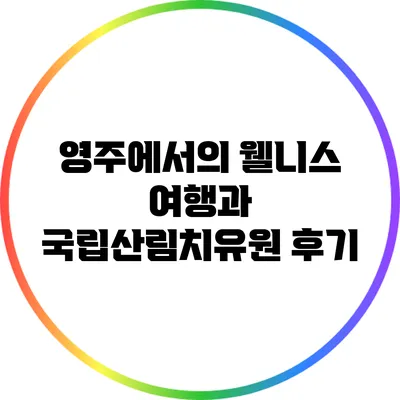 영주에서의 웰니스 여행과 국립산림치유원 후기