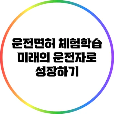 운전면허 체험학습: 미래의 운전자로 성장하기
