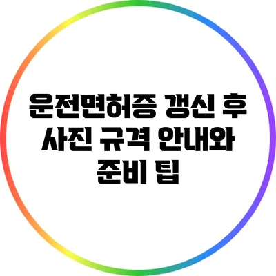 운전면허증 갱신 후 사진 규격 안내와 준비 팁