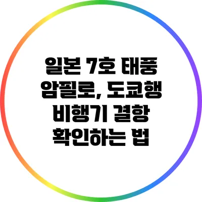 일본 7호 태풍 암필로, 도쿄행 비행기 결항 확인하는 법