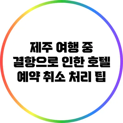 제주 여행 중 결항으로 인한 호텔 예약 취소 처리 팁