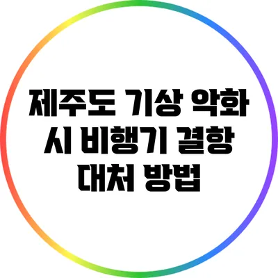 제주도 기상 악화 시 비행기 결항 대처 방법