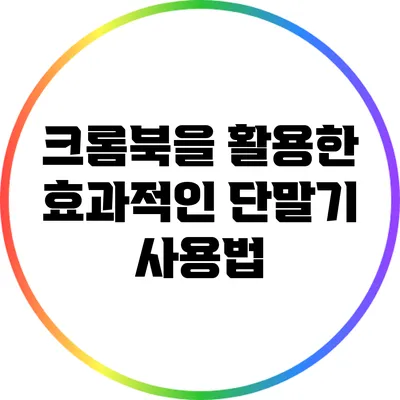 크롬북을 활용한 효과적인 단말기 사용법