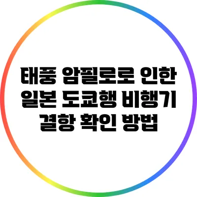 태풍 암필로로 인한 일본 도쿄행 비행기 결항 확인 방법