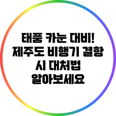 태풍 카눈 대비! 제주도 비행기 결항 시 대처법 알아보세요