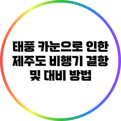 태풍 카눈으로 인한 제주도 비행기 결항 및 대비 방법