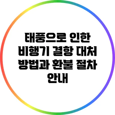 태풍으로 인한 비행기 결항 대처 방법과 환불 절차 안내