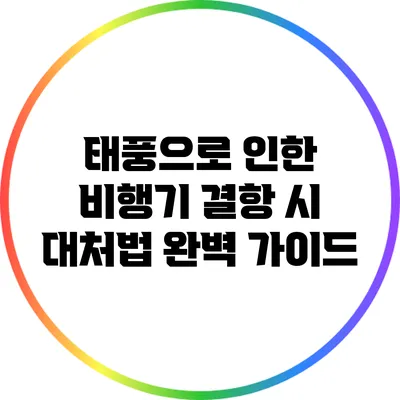 태풍으로 인한 비행기 결항 시 대처법 완벽 가이드