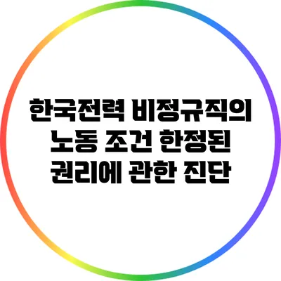 한국전력 비정규직의 노동 조건: 한정된 권리에 관한 진단