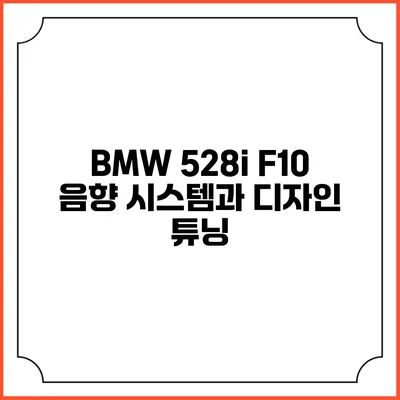 BMW 528i F10 음향 시스템과 디자인 튜닝