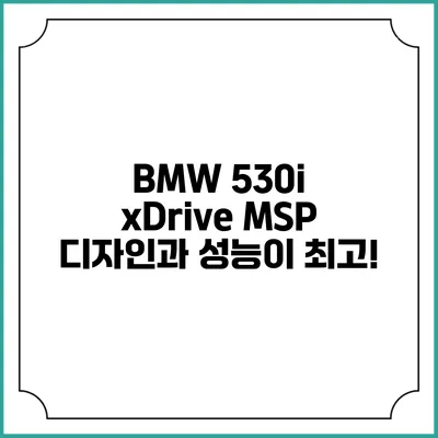 BMW 530i xDrive MSP 디자인과 성능이 최고!